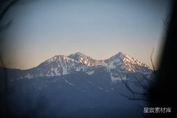 高清摄影 白雪覆盖的山峰被黑色的枝条环绕。