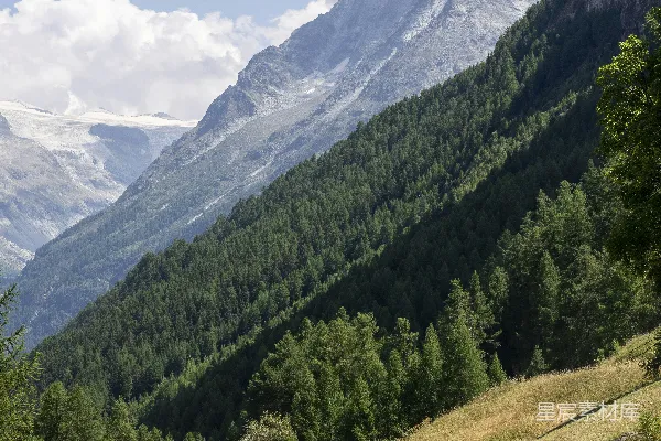 高清摄影 一座有树和道路的山