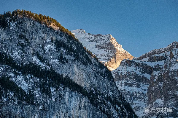 高清摄影 雪山上的树木