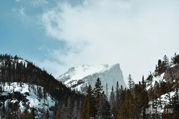 高清摄影 覆盖着积雪的山峰，前景中有树木。