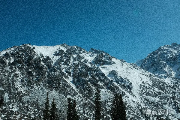 高清摄影 一座被雪覆盖的山，前景中有树木。