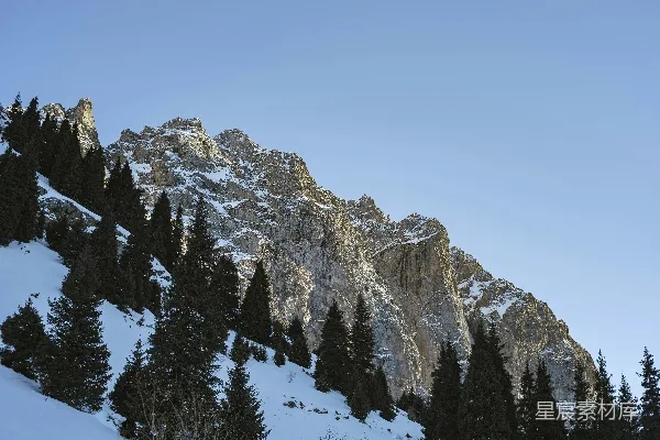 高清摄影 一座覆盖着积雪的山峰，前景中有一排松树。