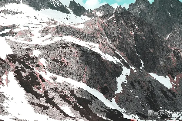 高清摄影 白天，被白雪覆盖的山脉旁边有一片红花田。