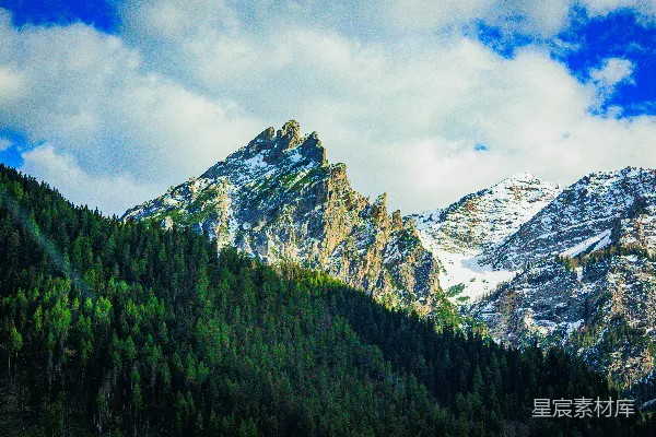 高清摄影 巍峨的雪山和蓝天下的绿林。