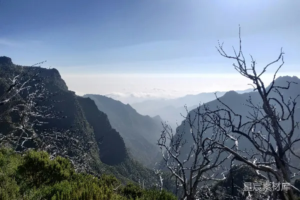 高清摄影 一座山脉的景色，前景中有一棵枯树。
