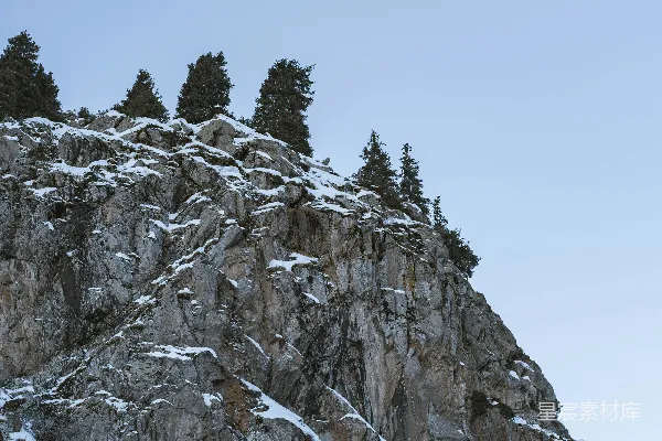 高清摄影 一座被雪覆盖的山，山顶上长着树木。