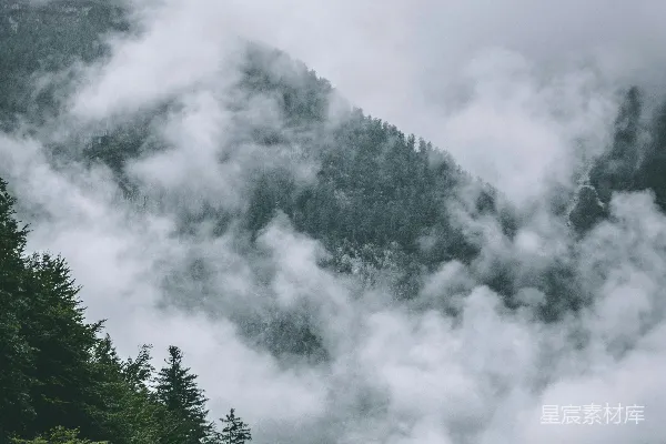 高清摄影 白云下的绿树