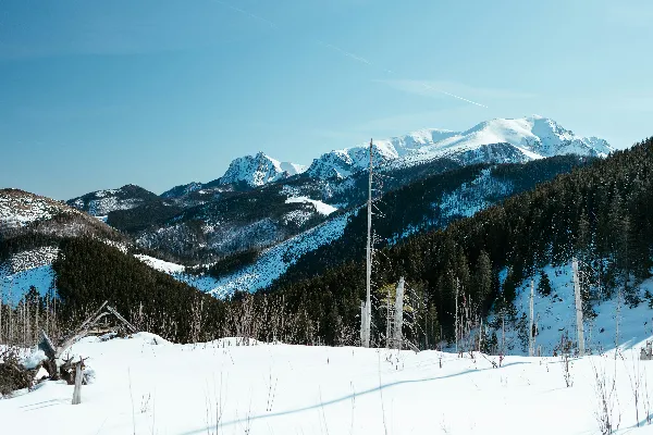高清摄影 一座被雪覆盖的山脉，前景中有一根电线杆。