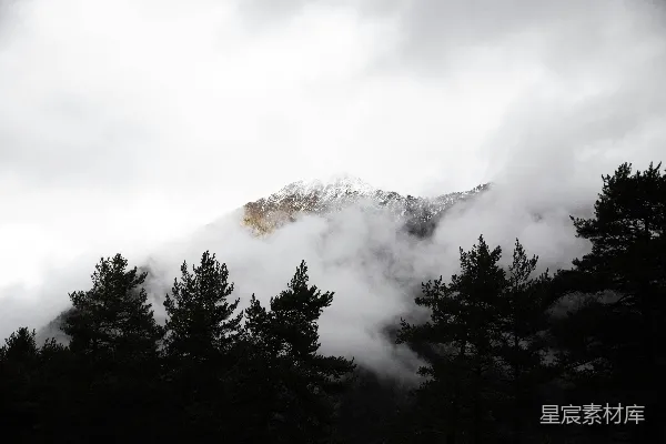 高清摄影 云雾缭绕的山峦和树木在阴云密布的天空下。