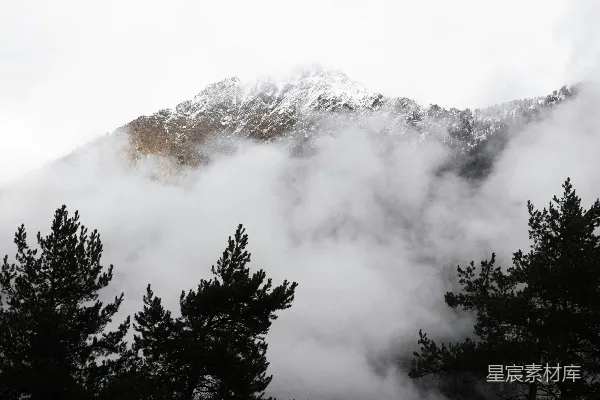 高清摄影 一座被云雾和树木覆盖的山峦，在多云的天空下。