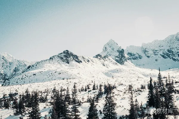 高清摄影 覆盖着积雪的山脉，前景中树木丛生。