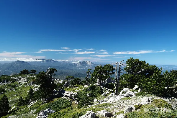 高清摄影 岩石山坡，背景中有树木和山脉。