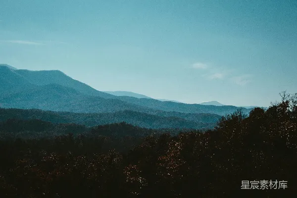 高清摄影 一座山脉的景色，前景中有树木。
