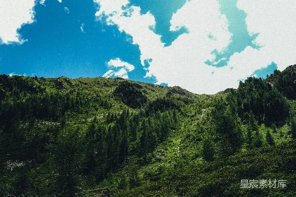 高清摄影 蓝天下绿意盎然的山坡。