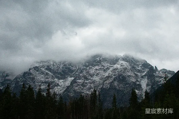 高清摄影 覆盖着积雪的山峰，周围环绕着树木。