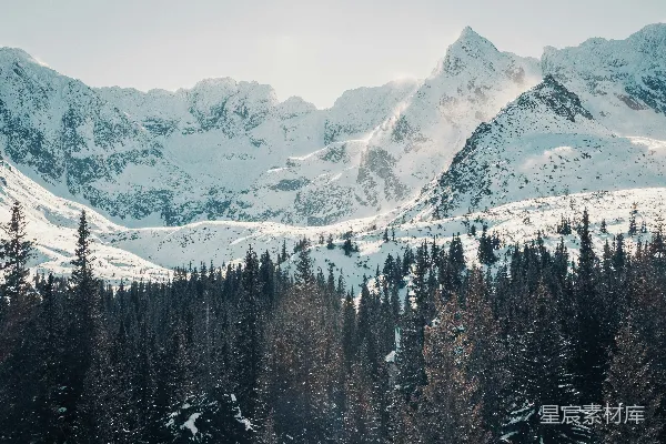 高清摄影 一座覆盖着积雪的山峰，前景中有一排松树。