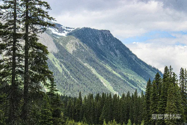 高清摄影 一片草地上有树木，背景中有一座山。