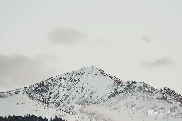 高清摄影 被雪覆盖的山丘上长着树木