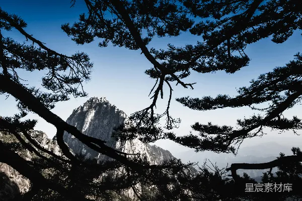 高清摄影 山景被剪影般的树枝所框定。