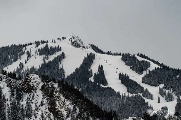 高清摄影 一座雪山上有树木