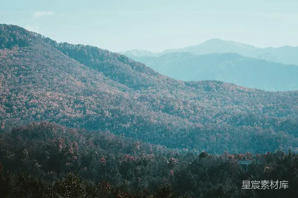 高清摄影 一座山脉的远景，前景中有一排树木。