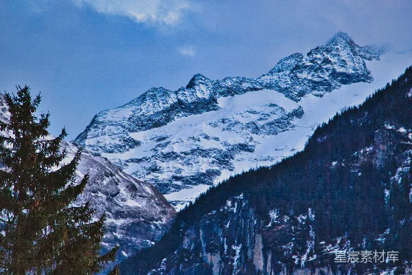 高清摄影 一座覆盖着积雪的山，前景中有树木。