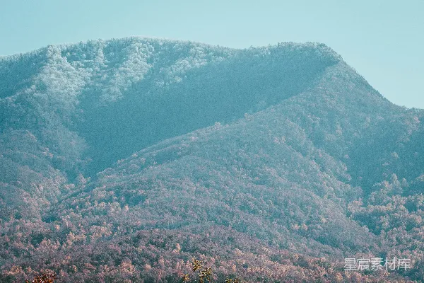 高清摄影 一座山脉的景色，前景中有树木。