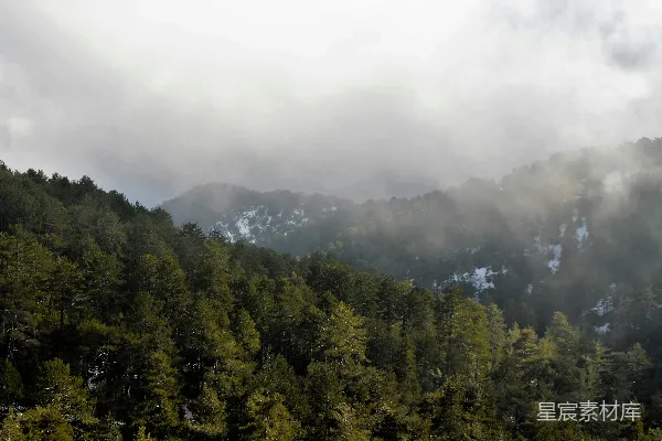 高清摄影 在阴天，被云雾和树木覆盖的山