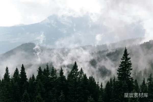 高清摄影 一座山脉的远景，前景中有树木。