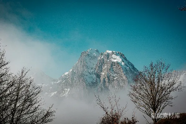 高清摄影 雪山峰顶凌空而起，云海缭绕，光秃秃的树木在其中若隐若现。