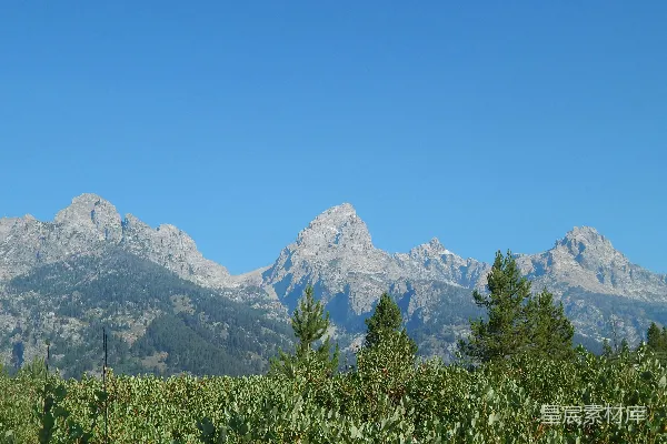 高清摄影 一座山岭，前景中有树木和灌木丛。