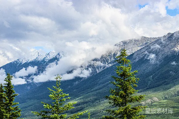 高清摄影 一座山脉的远景，前景中有树木。