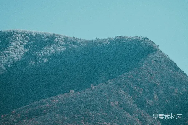 高清摄影 蓝天下，树木覆盖的山