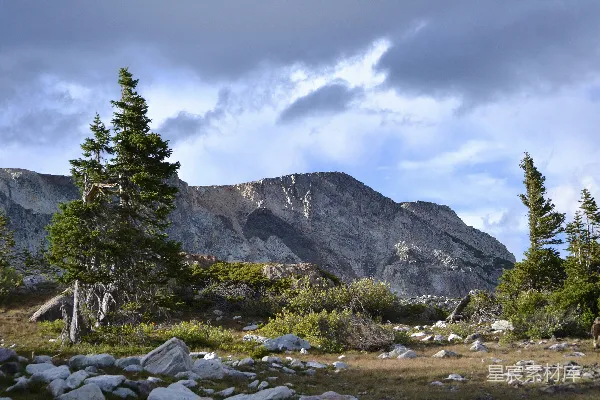 高清摄影 一座山岭，前景中有树木和岩石。