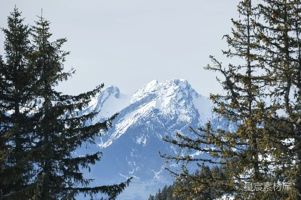 高清摄影 白天，被雪覆盖的山峰旁有绿树。