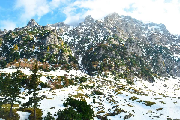 高清摄影 白雪覆盖的山间，绿树成荫。