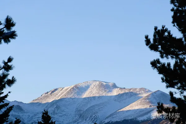 高清摄影 通过一些树木看到的雪山景色