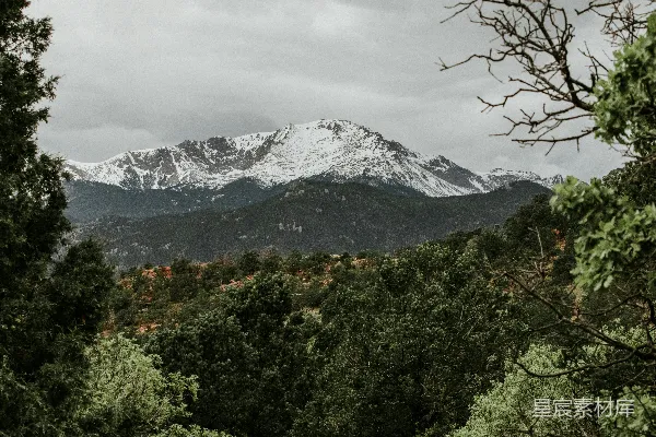 高清摄影 从树林中看到的雪覆盖的山脉景象