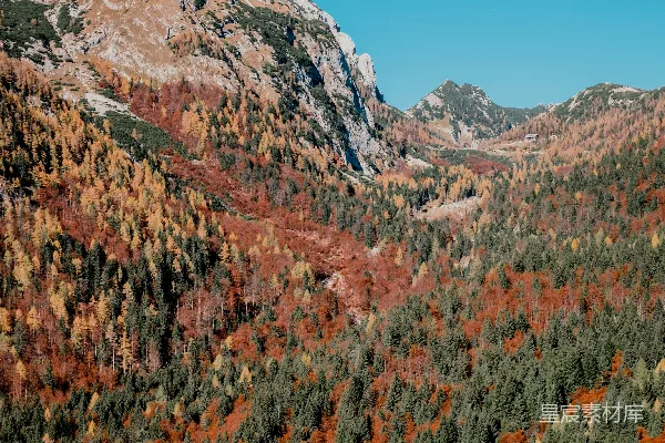 高清摄影 一座山脉的景色，前景中有树木。