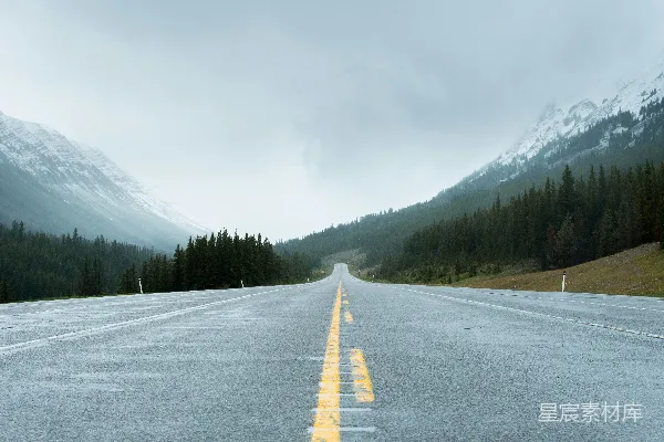 高清摄影 树木附近的道路