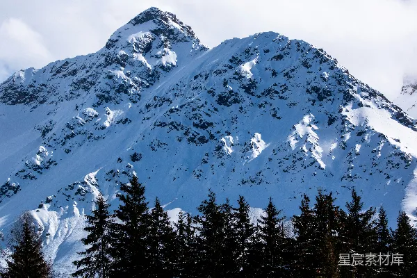 高清摄影 一座覆盖着积雪的山峰，前景中有松树。