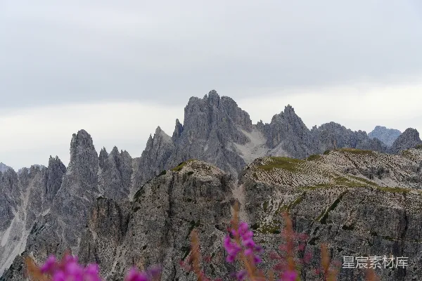 高清摄影 阴云密布的天空下，山峰嶙峋，繁花盛开。