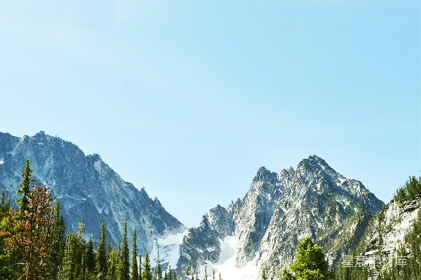 高清摄影 一座山脉的远景，前景中是树木。