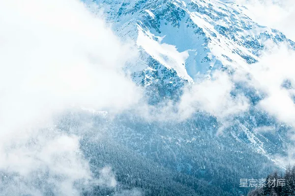 高清摄影 一座覆盖着积雪的山，前景中有树木。