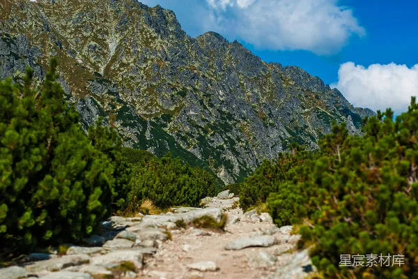 高清摄影 山间的小径，两旁有树木和岩石。