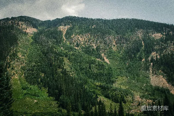 高清摄影 白天多云天空下，山上的绿树。