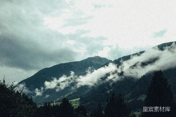 高清摄影 雾蒙蒙的山峦前有深绿色的树木。