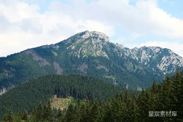 高清摄影 一幅山峦的远景，前景中有树木。