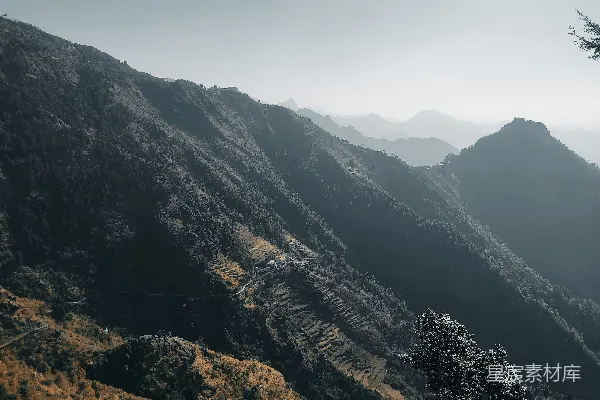 高清摄影 一座山脉的景色，前景中有一棵树。