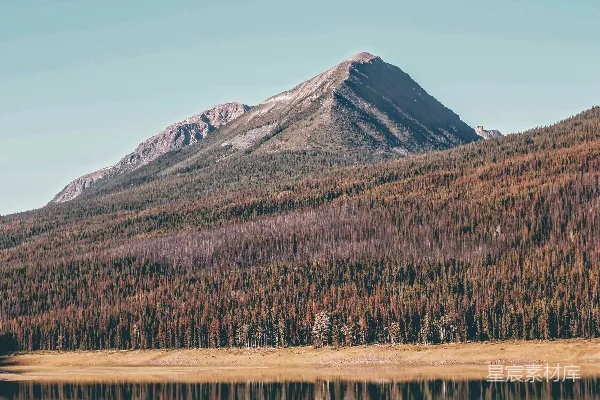 高清摄影 白天，蓝天下的山脚下有绿色和棕色的树木。